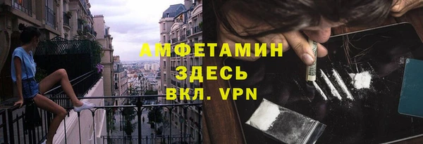 тгк Пересвет