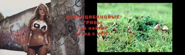 МДПВ Пестово
