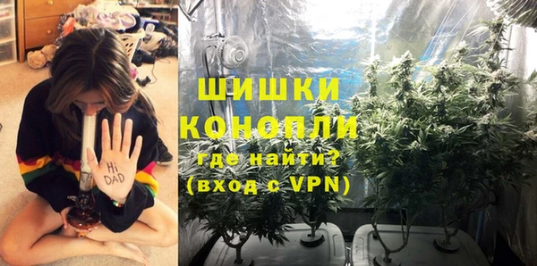 молекула духа Губаха