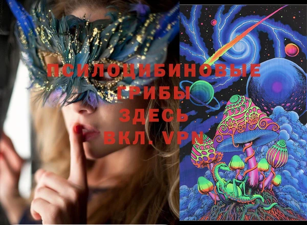 МДПВ Пестово