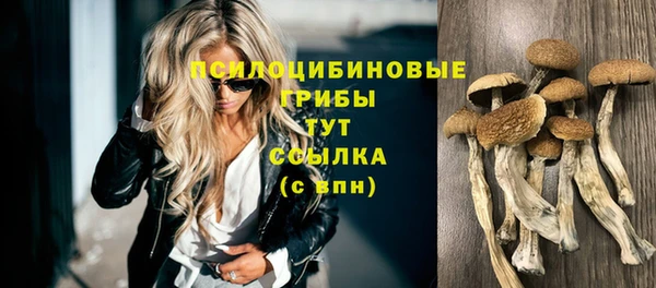 тгк Пересвет