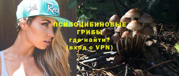 PSILOCYBIN Шали