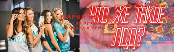 тгк Пересвет