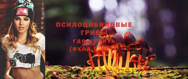 прущая мука Переславль-Залесский